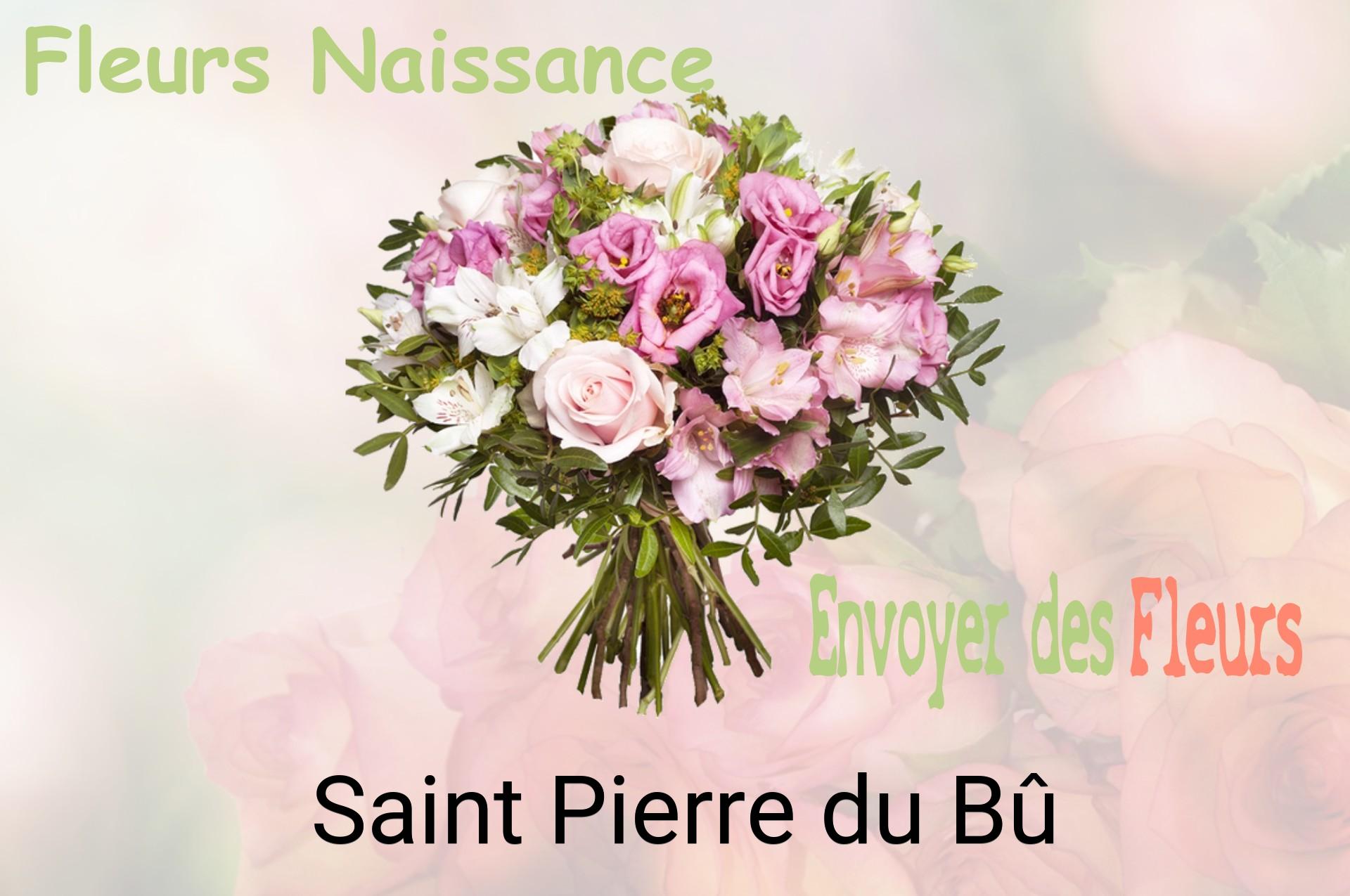 Bouquet de fleurs de naissance livré à Saint-Pierre-du-Bû